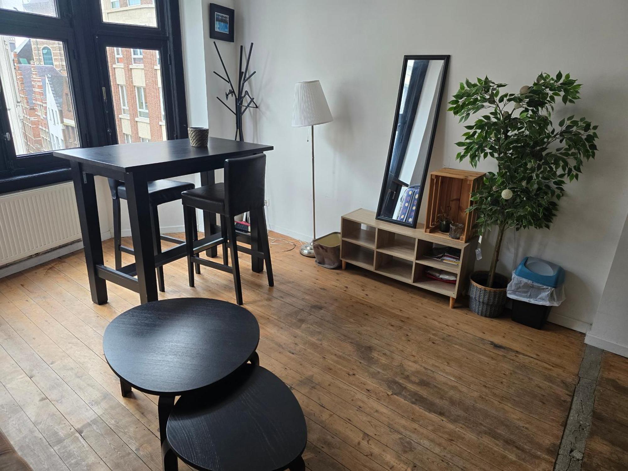 Apartmán Den Gulden Hoorn Antverpy Exteriér fotografie